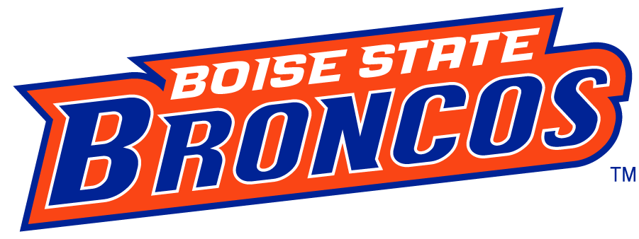 Boise State Broncos 2002-2012 Wordmark Logo v6 iron on transfers for clothing